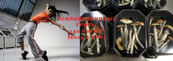 молекула духа Михайловск