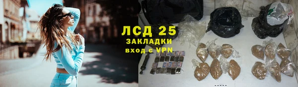 ГАЛЛЮЦИНОГЕННЫЕ ГРИБЫ Михайлов