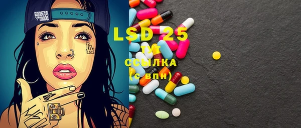 ГАЛЛЮЦИНОГЕННЫЕ ГРИБЫ Михайлов