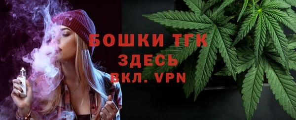 молекула духа Михайловск