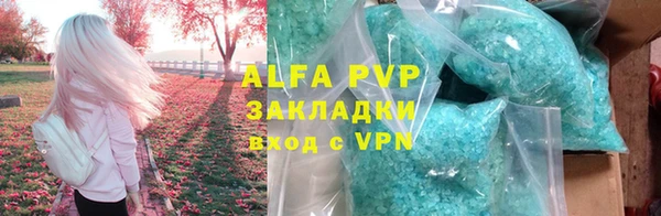 крисы Баксан