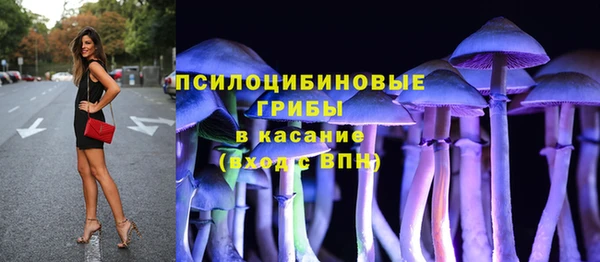 индика Балабаново