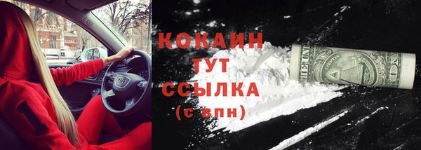 ГАЛЛЮЦИНОГЕННЫЕ ГРИБЫ Михайлов