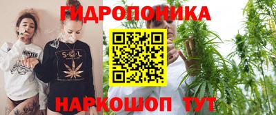 дистиллят марихуана Гай