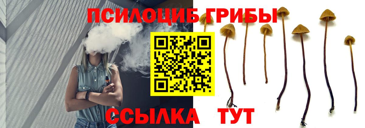 Беслан  Галлюциногенные грибы прущие грибы  Вход с VPN 