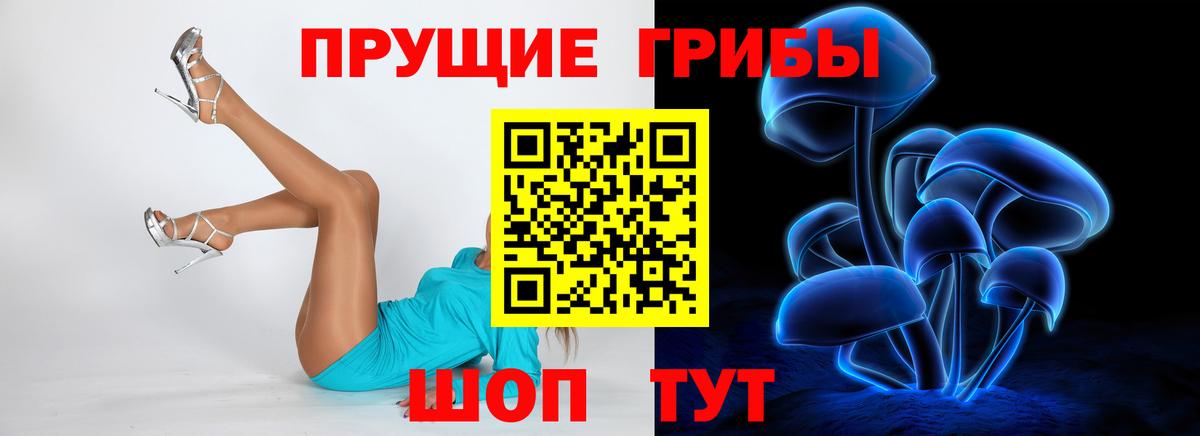 Псилоцибиновые грибы прущие грибы Беслан